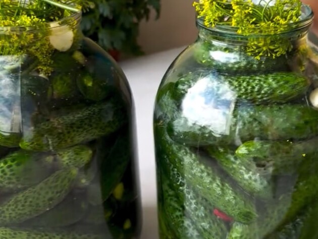 Не нужно ничего кипятить – рецепт маринада, благодаря которому малосольные огурцы будут очень хрустящие