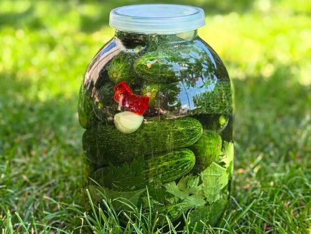 В июле залейте это в банки – и к зиме квашеные огурцы будут готовы. Рецепт без кипячения и переливания