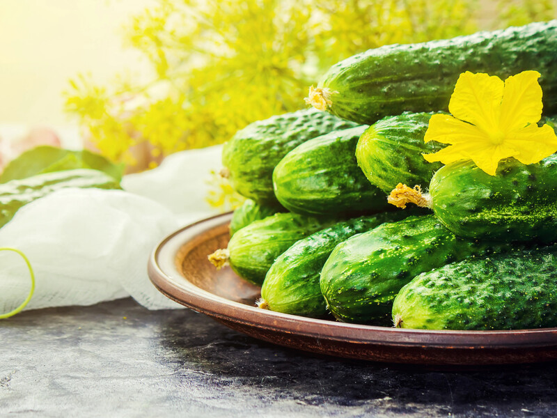 Это привычное огородникам время – табу для полива огурцов