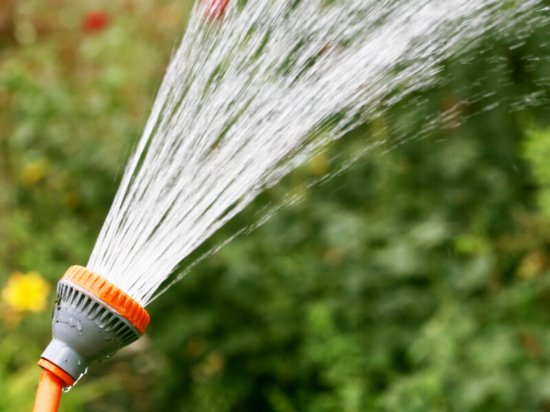 Опытные огородники рассказали три секрета полива растений в жару. Делайте так же – и сохраните урожай