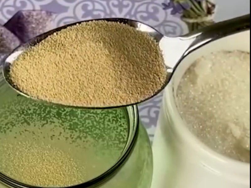 Растворите это в воде – и огурцы активно начнут плодоносить. Огородник раскрыл секрет щедрого урожая