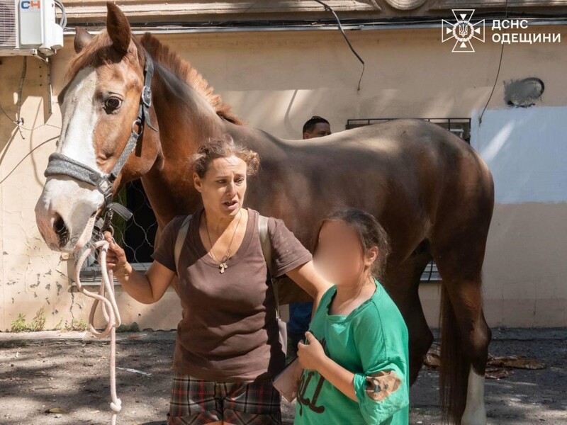 В результате удара РФ по Одессе более 10 пострадавших, погибла лошадь. Фото, видео