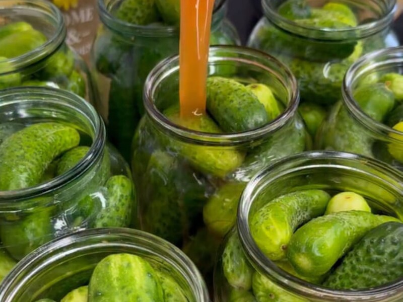 Залейте это в каждую банку – и получатся божественные огурцы на зиму. Рецепт холодного маринада