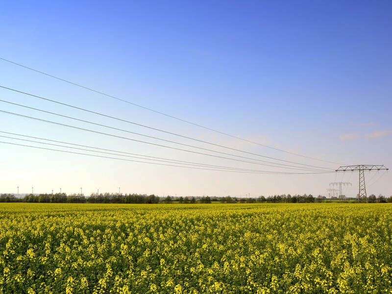 Долг на балансировочном энергетическом рынке растет на 200 млн грн каждый месяц – эксперт