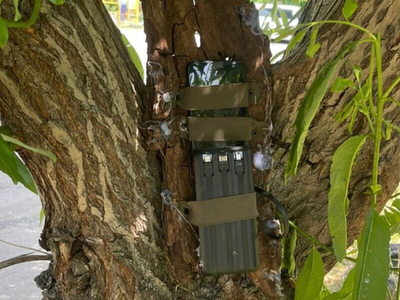 Планировали взорвать судью в Днепре и готовили серию терактов в Полтаве. СБУ задержала вероятных агентов РФ