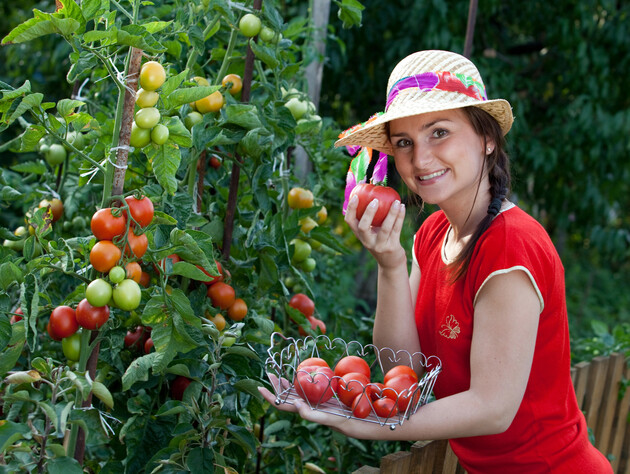 Сенсаційний розчин із харчових продуктів знищить усіх шкідників на городі