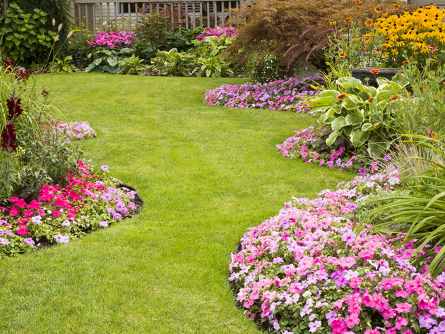 Садівники назвали кухонні відходи, які перетворюють спалений спекою газон на зелений килим