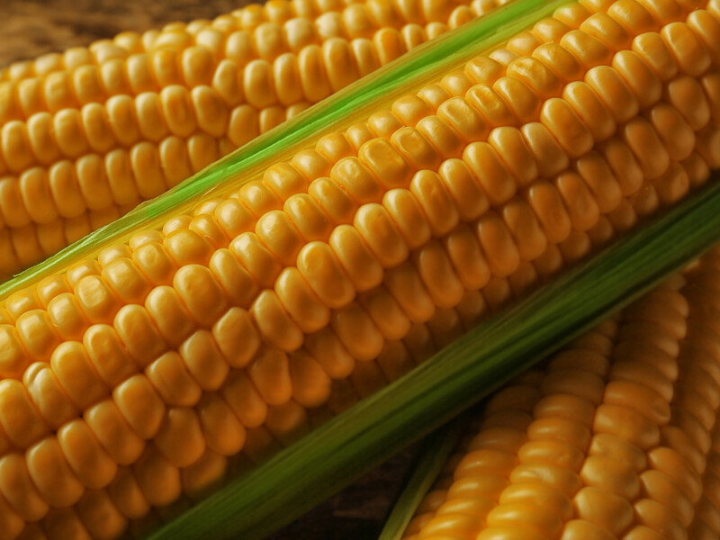 Если увидели это – не берите. Как выбрать идеальную кукурузу