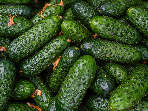 Стоимость подкормки смешная, а работает она лучше химпрепаратов. Полейте этим огурцы в июле