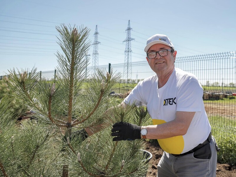 В Украине представили исследование о "зеленом" энергетическом восстановлении
