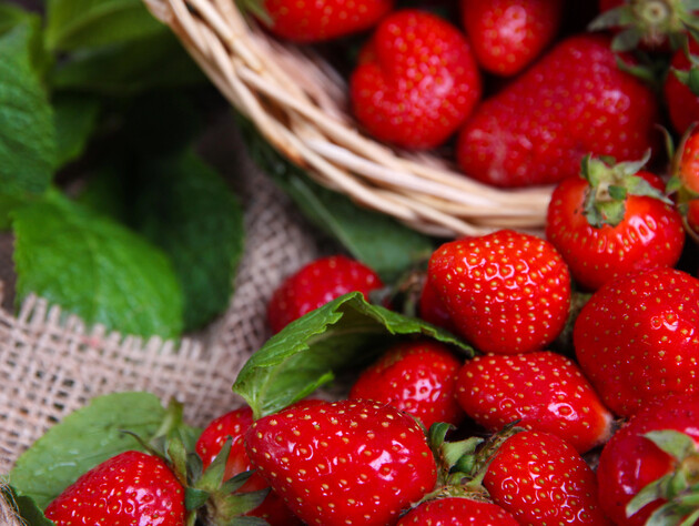 Клубника уродила мелкими ягодами? Сделайте это в июле – истощенные кусты омолодятся