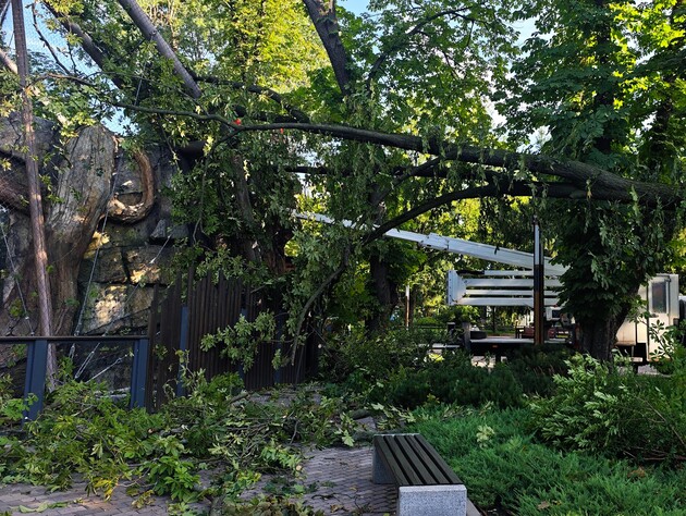 В Киевском зоопарке ураган разрушил вольеры животных