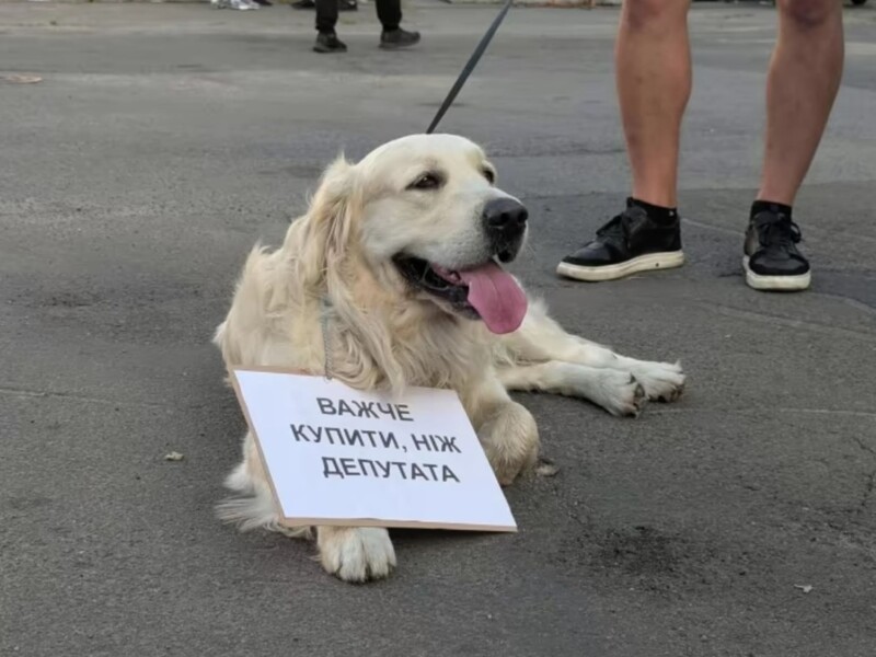 "Источником власти в Украине являются люди с картонками". Украинцы третий день протестуют против закона о НАБУ. Фото