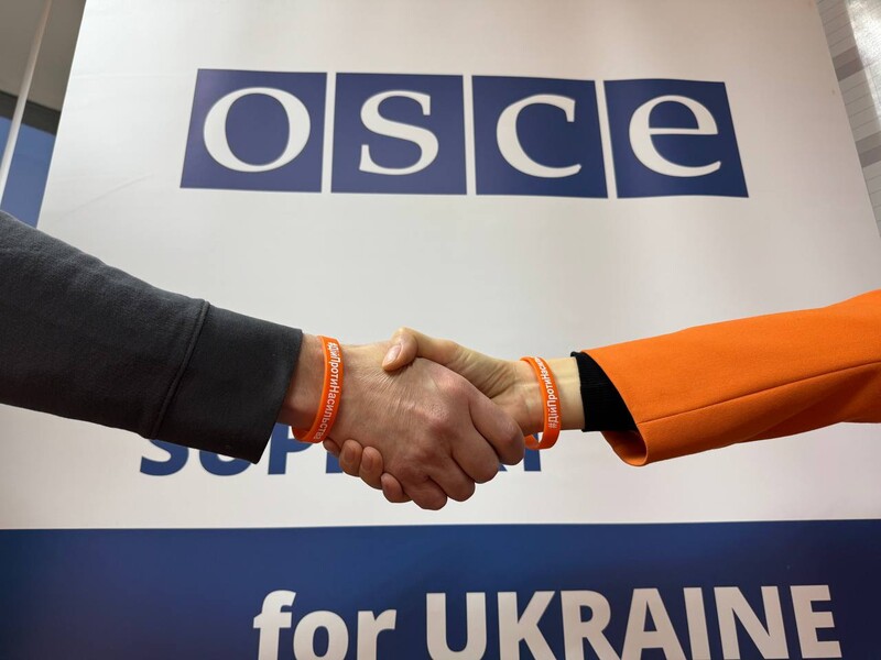 "Московский механизм". Более 40 стран ОБСЕ инициировали расследование относительно России