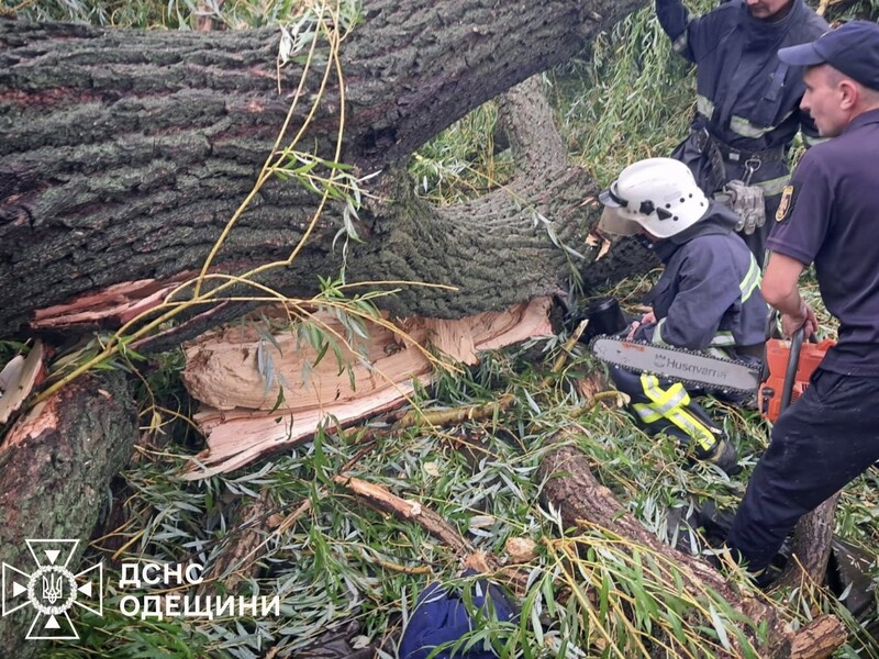В Одесской области дерево упало на палатку с подростками, выжили не все