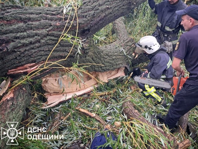 В Одеській області дерево впало на намет із підлітками, вижили не всі