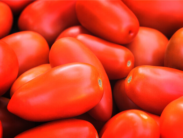 С одного куста томатов соберете 10 кг урожая. Выберите правильный сорт