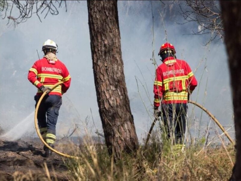 Португалію охопили масштабні лісові пожежі 
