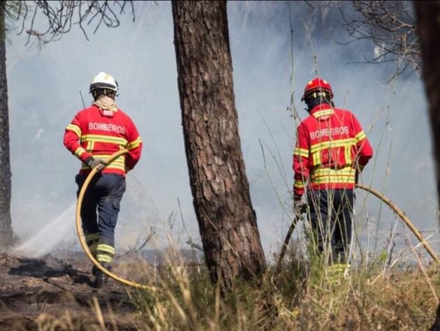 Португалію охопили масштабні лісові пожежі 