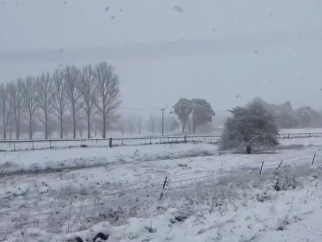 Впервые за более чем десятилетие. Часть Австралии засыпает снегом. Видео