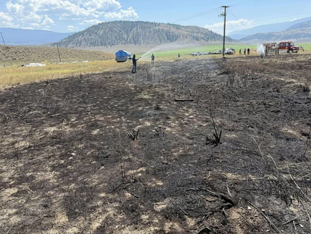 В Канаде упавшая с неба рыба вызвала пожар и обесточила село. Фото