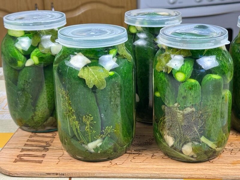 Добавьте это в каждую банку – и огурцы простоят до зимы. Проверенный рецепт без уксуса, аспирина и сахара