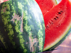 Если на арбузе нет этого – он незрелый и несладкий. Проверенный лайфхак