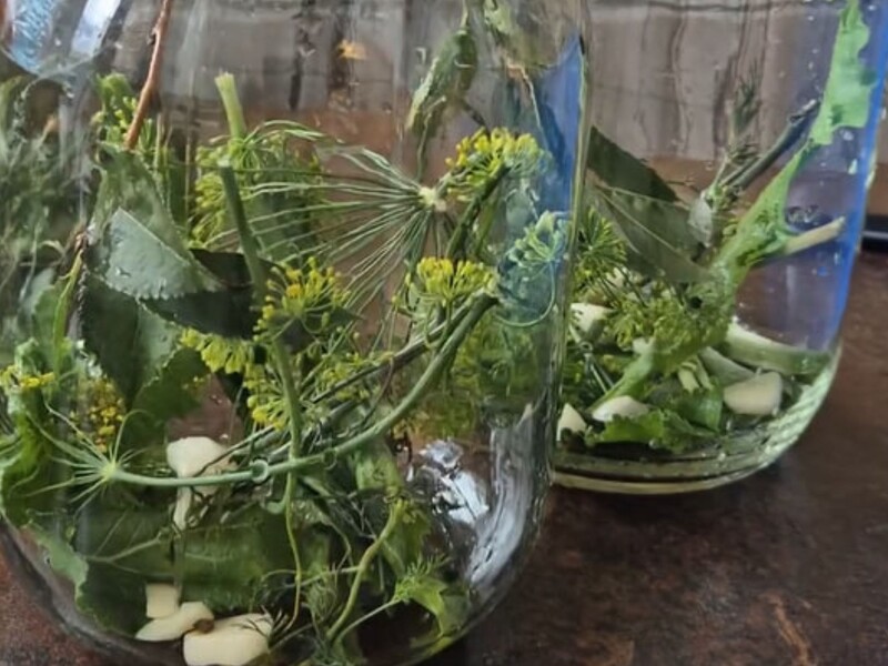 Что кладут в банку с огурцами, чтобы они получились вкусные. Рецепт рассола