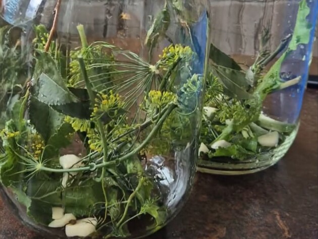 Що кладуть у банку з огірками, щоб вони вийшли смачними. Рецепт розсолу