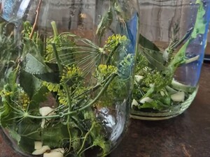 Что кладут в банку с огурцами, чтобы они получились вкусные. Рецепт рассола