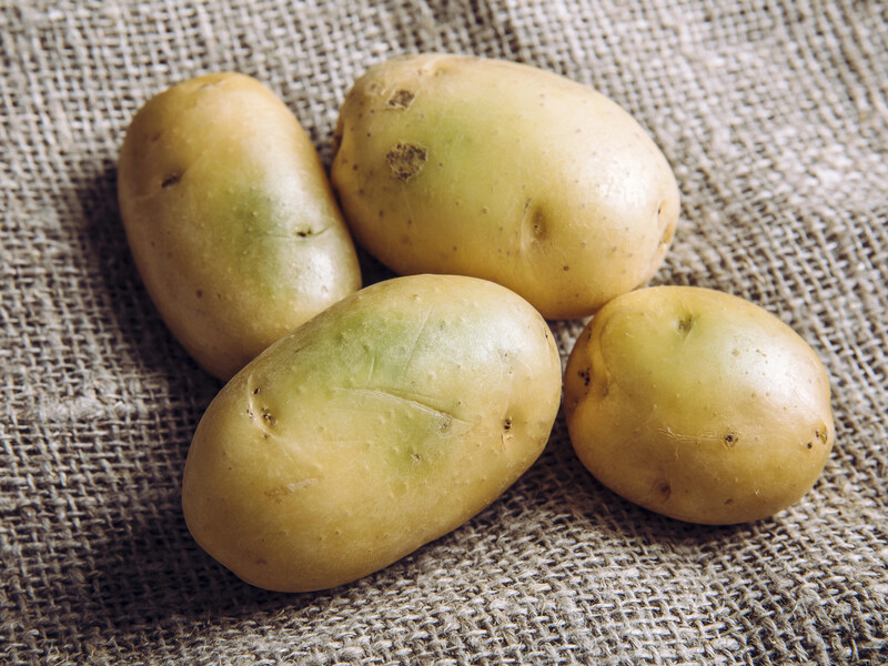 Почему зеленеет картофель и можно ли его есть