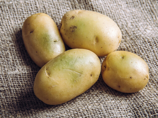 Почему зеленеет картофель и можно ли его есть