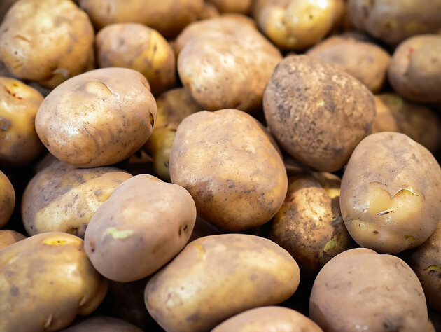 Якщо хочете, щоб картопля довго зберігалася, дотримайтеся цих простих і надійних порад