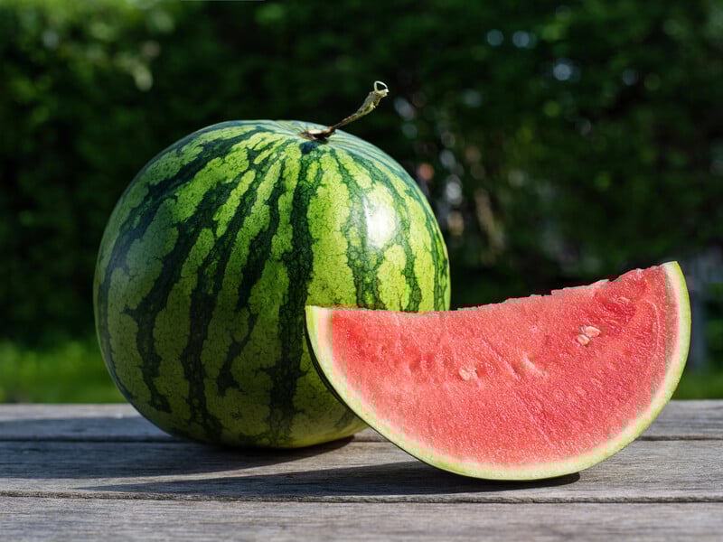 Недосвідчені покупці даремно оминають такі кавуни – вони найсолодші. Три ознаки стиглості