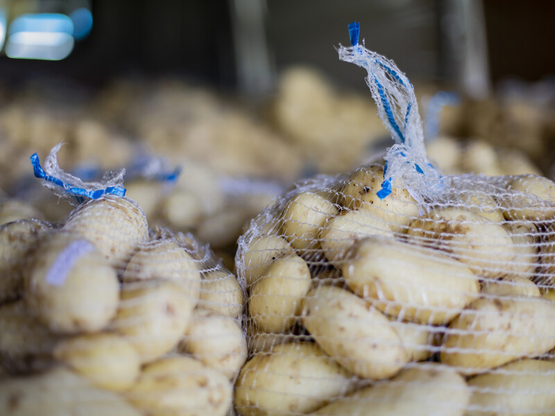 Добавьте это в каждый мешок – и картофель сохранится до весны. Секретный лайфхак от опытных огородников