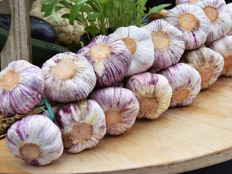 Не сгниет до весны. 10 лучших способов хранения чеснока