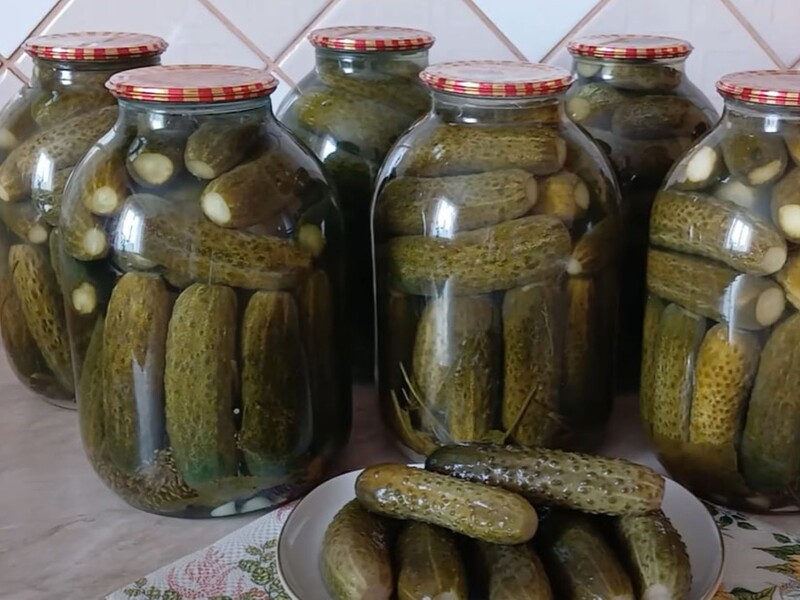 Приготовьте этот рассол – и квашеные огурцы не прокиснут даже в квартире. Проверенный рецепт