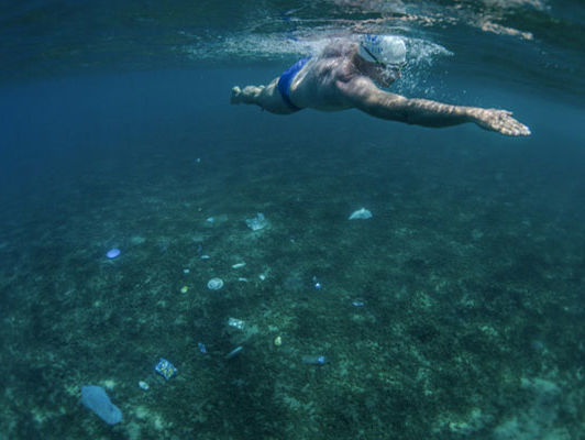 До 2050-го у Світовому океані може бути більше пластику, ніж риб – ООН