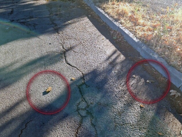 Росіяни дистанційно розкидали міни в Херсоні – поліція. Фото