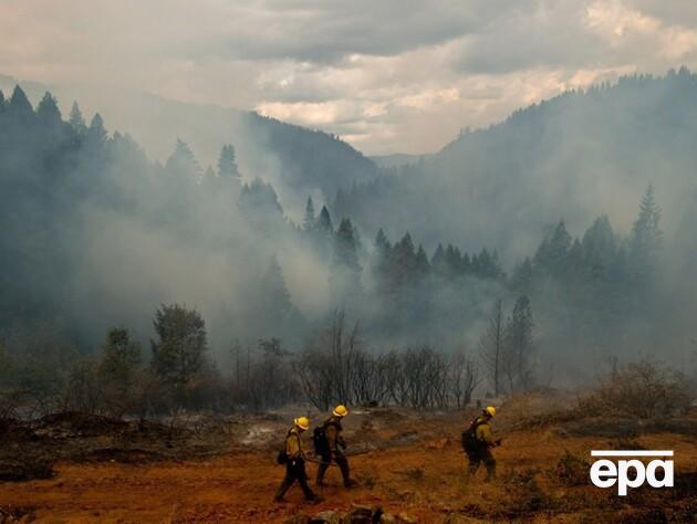 В США миграционная служба задержала пожарных во время тушения лесного пожара
