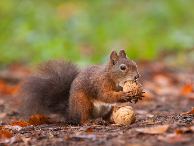 Синоптики рассказали, какой будет погода в первый день осени