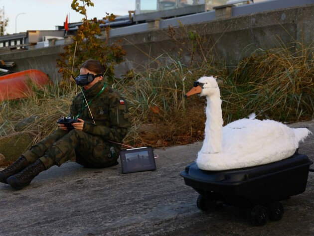 В Польше создали боевой дрон Kaczka, который выглядит как лебедь. Фото