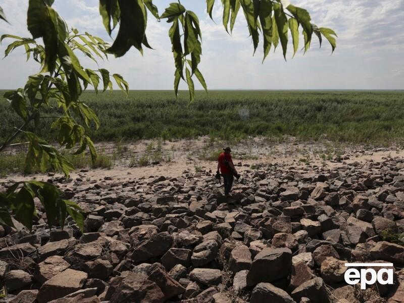 Повернулися осетри й пелікани, течія відновила рух. Що відбувається з Каховським водосховищем?