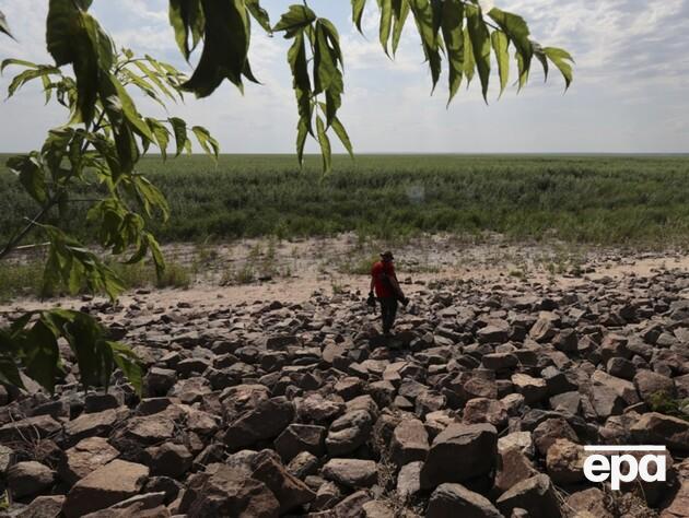 Повернулися осетри й пелікани, течія відновила рух. Що відбувається з Каховським водосховищем?