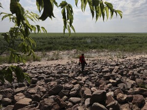 Вернулись осетры и пеликаны, возобновилось течение. Что происходит с Каховским водохранилищем?
