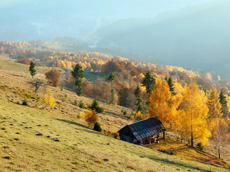 Громади Закарпаття просять МЗС Бельгії пояснити позицію посла щодо будівництва курорту "Свидовець"