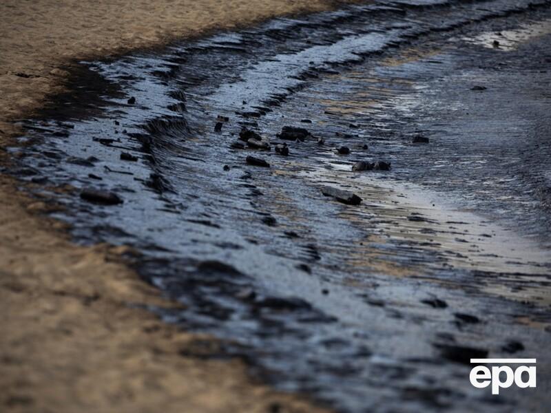 Дельфіни, птахи й люди під ударом. Найбільша за роки пляма нафти рухається до Криму