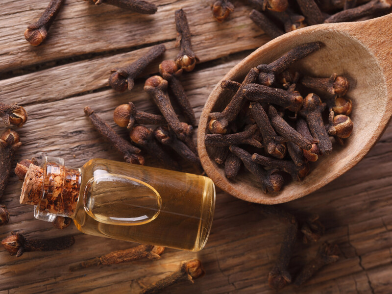 Лучшие средства от насекомых на основе гвоздики. Три варианта использования
