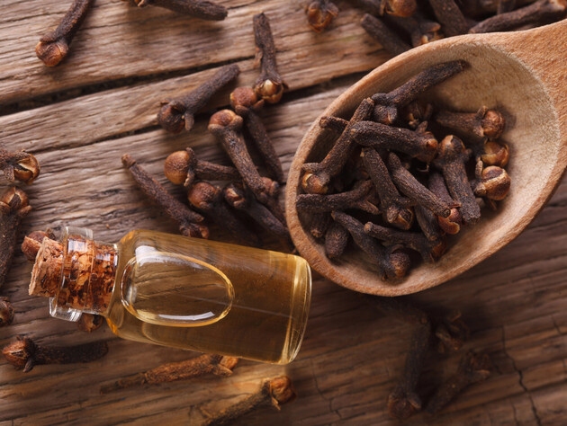 Найкращі засоби від комах на основі гвоздики. Три варіанти використання