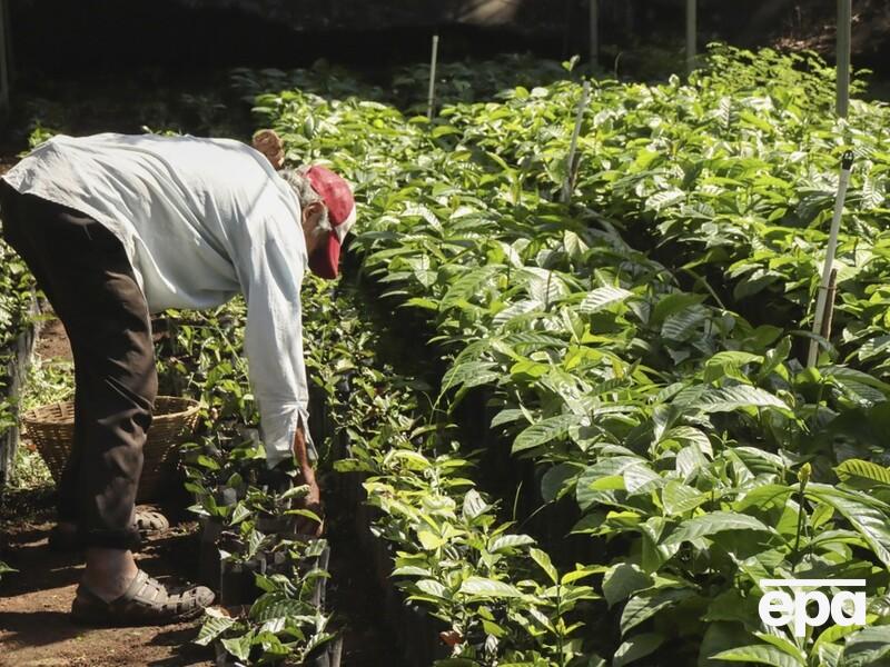 Времена года не совпадают. Ученые обнаружили климатические аномалии